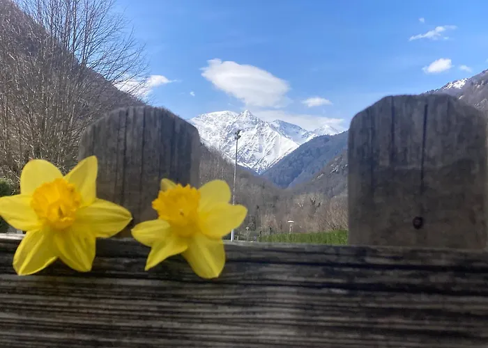 Οργανωμένο κάμπινγκ Yourte Auzat